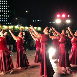 フラ教室　横浜元町夜クラス新規open！フラヘレマーリエ