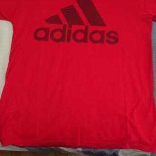 adidasのTシャツ