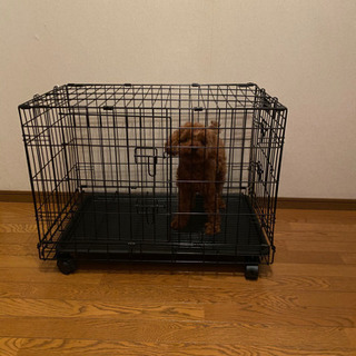 犬用ゲージの画像