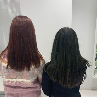 ヘアカラーモデル募集　0円