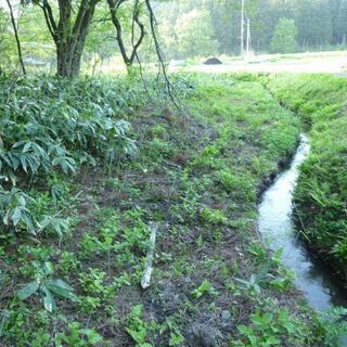 売地：山林(住宅･別荘･菜園)向き・胎内スキー場、二ノックス近い - 新発田市
