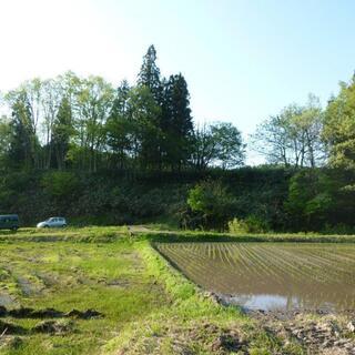 売地：山林(住宅･別荘･菜園)向き・胎内スキー場、二ノックス近い − 新潟県