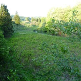 売地：山林(住宅･別荘･菜園)向き・胎内スキー場、二ノックス近い - 不動産