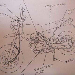 HONDA　Apeエイプ　50cc・100cc美品　の画像