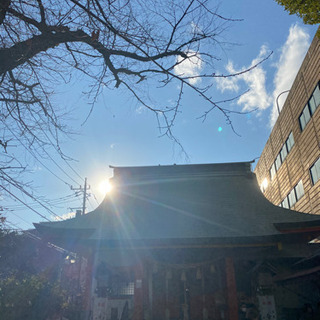 謹賀新年⛩☘️🐮🌅