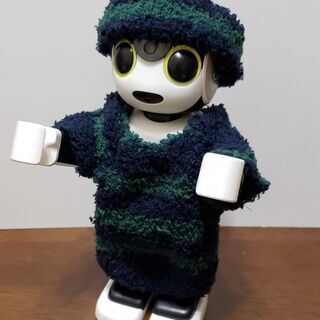 ロボホンの洋服の画像