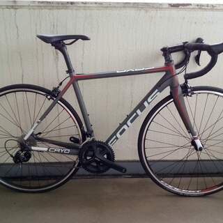 FOCUS CAYO AL 2016 Sサイズ52cm 105