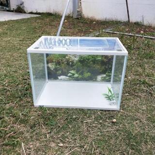 水槽6個セット売りの画像