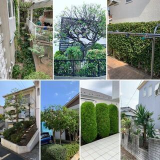 横浜市の庭木剪定/伐採/草刈りなどお庭の困ったを解決　※見積もり...