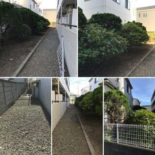 横浜市の庭木剪定/伐採/草刈りなどお庭の困ったを解決　※見積もり無料!!　※身分証＆電話認証済み − 神奈川県
