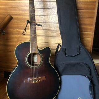 決まりました！IBANEZ エレアコギター