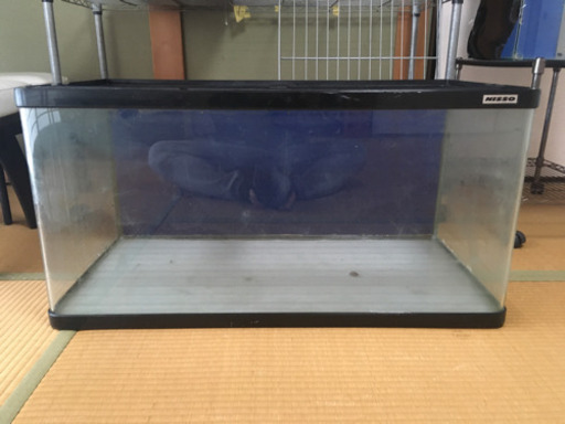 900水槽