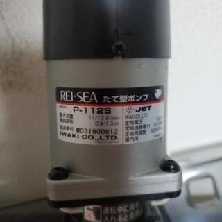 5日まで！レイシー 縦型ポンプ P-112S 上部フィルターに