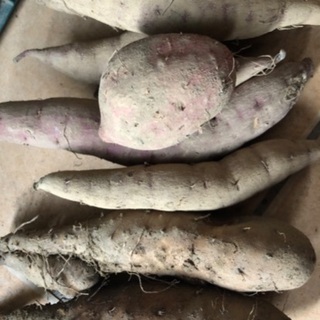 【お取引先確定】私が作った無農薬野菜セット　1セット限りの画像