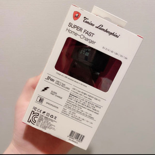 トニーノ ランボルギーニ　高速 充電器の画像