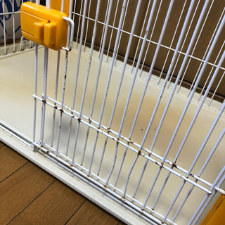わんちゃん用ケージの画像