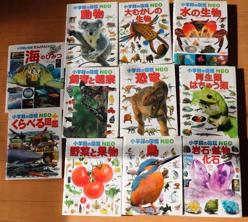 小学館の図鑑NEO　恐竜、動物、岩石・鉱物・化石など　計11冊