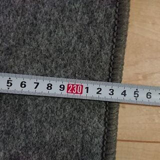 (商談中)ホットカーペットの画像