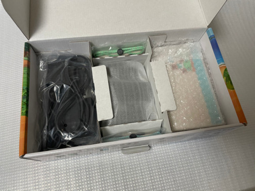 ニンテンドーSwitch どうぶつの森セット