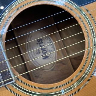 モーリス(MORRIS) アーコスティックギター W-40の画像