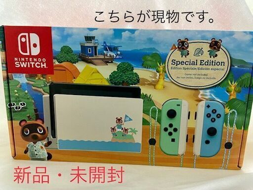 任天堂スイッチ本体　あつまれどうぶつの森版（新品未開封）