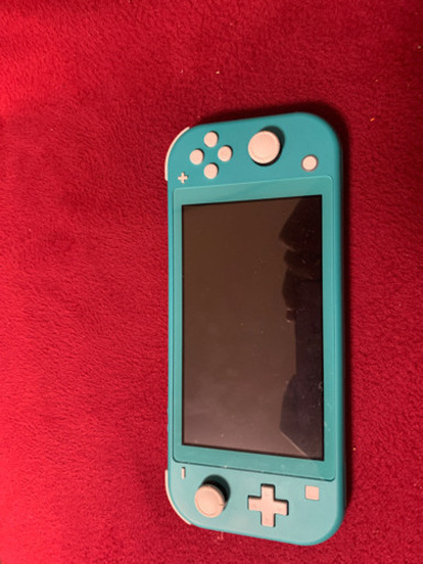 Switch lite ⭐️スマブラマリカー付けます⭐️