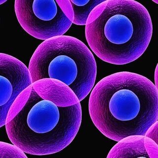 コンビニ食が寿命を縮めている⁉★無料★細胞科学プレミアムセミナー...