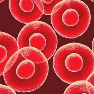 コンビニ食が寿命を縮めている⁉★無料★細胞科学プレミアムセミナー...