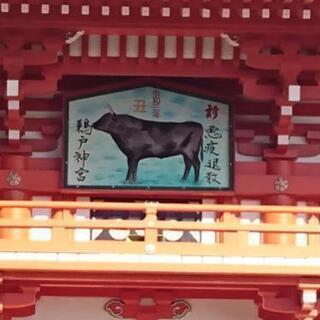 旅友募集 - 友達