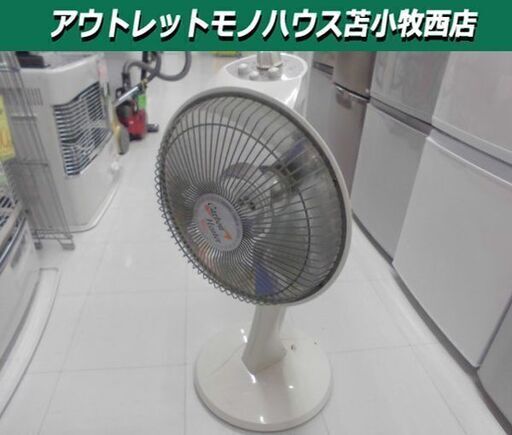 暖房器具 カーボンヒーター グリーンライフ DCH-1202S 遠赤外線ヒーター ホワイト 苫小牧西店
