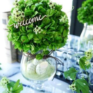 CaraFiore認定レッスンの画像