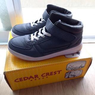 美品❇️CEDAR CREST 防水❗防寒❗の画像