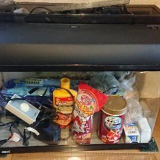 水槽 60センチ 中古 もらって下さい。#金魚 #熱帯魚 #メダカ
