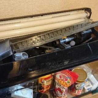 水槽 60センチ 中古 もらって下さい。#金魚 #熱帯魚 #メダカの画像