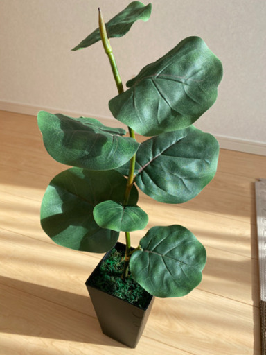 観葉植物　造花
