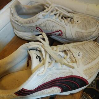 ⭐PUMA⭐の画像