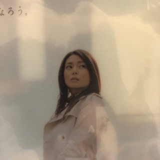 柴咲コウ　クリアファイル　【美品】の画像