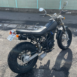 YAMAHA TW200の画像