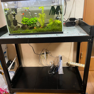 【取引中】水槽台　無料で差し上げます。　急募