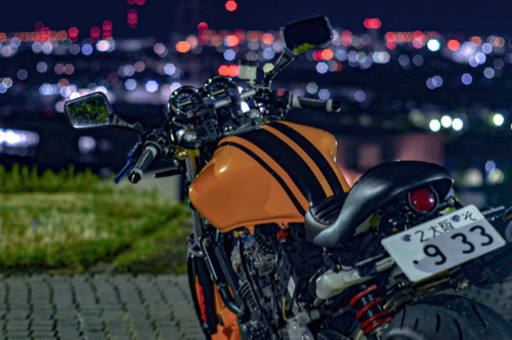 ホーネット250 カスタム