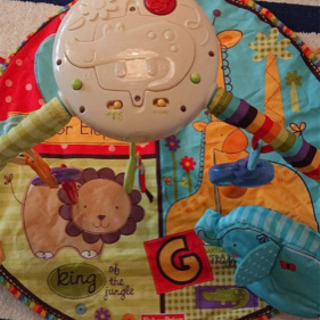 値下げ！フィッシャープライスベビーどうぶつえん デラックスジム＆メリー