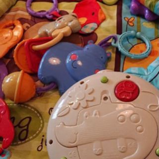 値下げ！フィッシャープライスベビーどうぶつえん デラックスジム＆メリーの画像