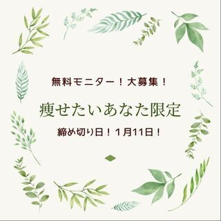無料ダイエットモニター募集中＊あなたを裏切らないダイエット法をプ...