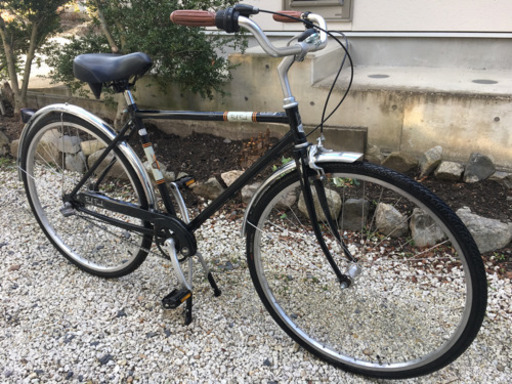 175.PAUL FLANK BEACH RIDER 700×38c