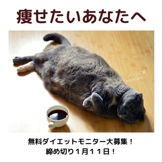 痩せて綺麗になりたい！！『 無料ダイエットモニター大募集 』期間...