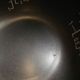 パナソニック IHジャー炊飯器 5.5合炊き 2014年製の画像