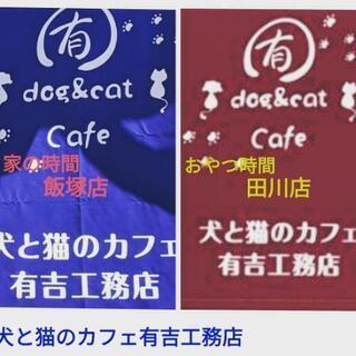 犬と猫のカフェ有吉工務店田川店・おやつの時間・終の住処・