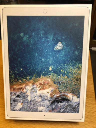 確認可　値下げ　iPad Pro アイパッドプロ　WiFi 256GB 極美品