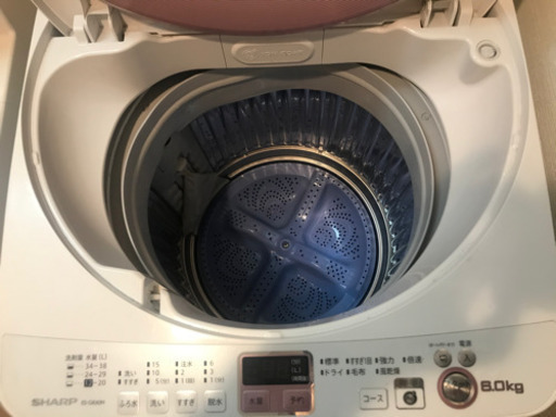 洗濯機 and 冷蔵庫
