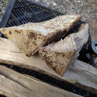 【在庫30kg程度】広葉樹エノキの薪！長さ35cm。2夏乾燥。含水率18%程度。茨城県潮来市。の画像